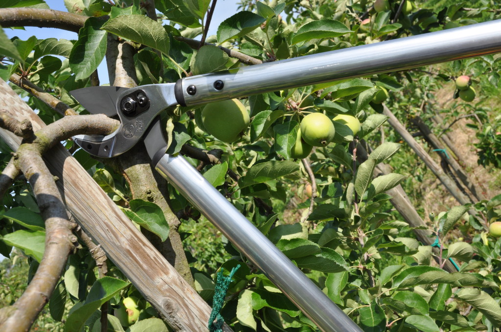 Brewt Power Systems Pneumatic pruners, specialty horticultural tools